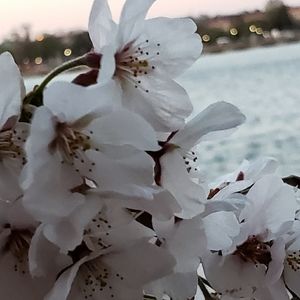 Meet your Posher, Kailey